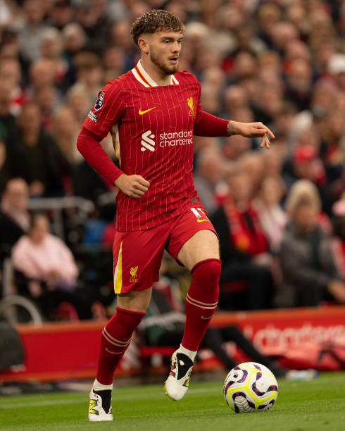 的表现有目 的表现有目